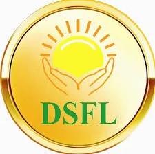 DSFL logo